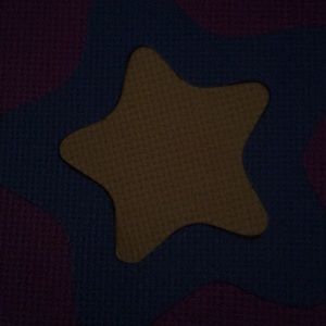 Meet your Posher, Sheila